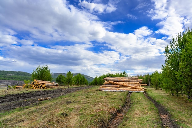 L'extraction du bois de grumes d'arbres et une route de campagne