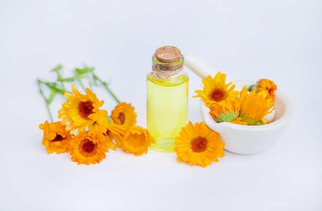 L'extrait de calendula. Plantes médicinales.