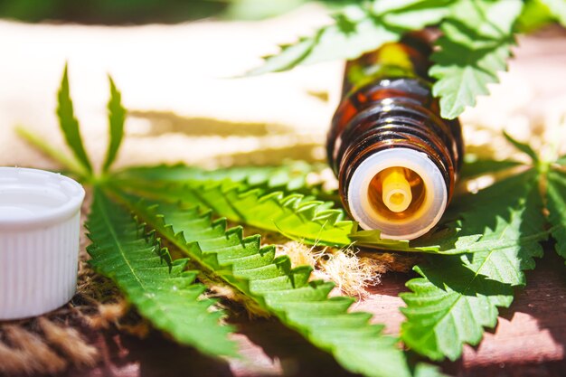 Extrait de cannabis huile essentielle dans une petite bouteille. Mise au point sélective. La nature.