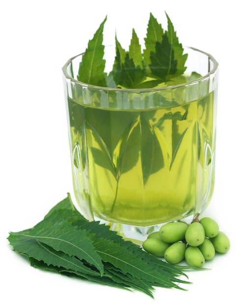 Extrait médicinal de neem avec des fruits et des feuilles sur fond blanc