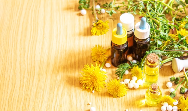 Extrait de pissenlit chélidoine dans une petite bouteille, traitement, médicament, teinture. mise au point sélective.nature