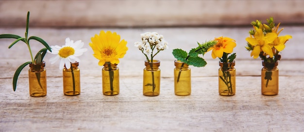 Extraits d&#39;herbes dans de petites bouteilles. Mise au point sélective.