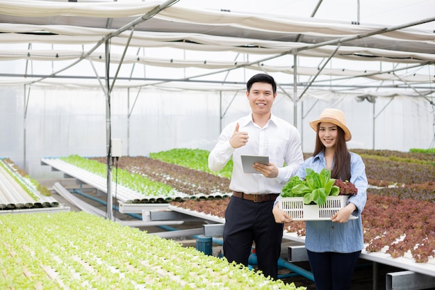 Les fabricants envoient des paniers de légumes biologiques aux consommateurs.