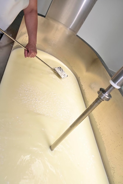 Fabrication artisanale de fromage en coupant le caillé et le lactosérum dans la cuve de l'usine