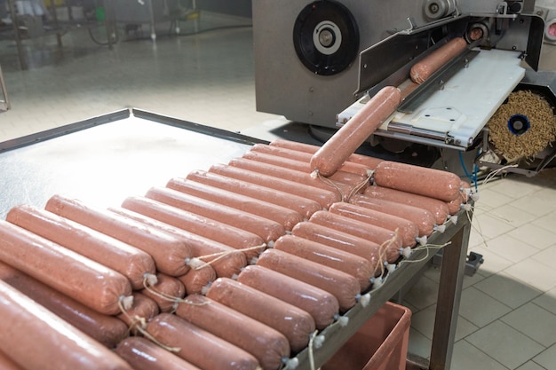 Fabrication de saucisses, industrie de la viande de salami