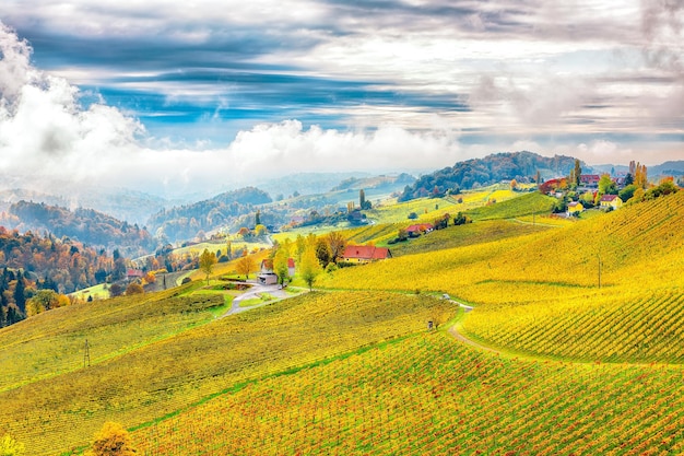 Fabuleux paysage de vignobles dans le sud de la Styrie près de Gamlitz