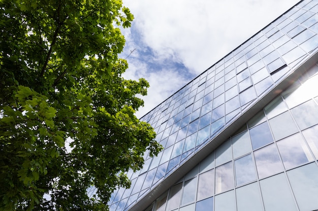 Façade de bâtiment en verre avec arbre à proximité et fond de ciel.