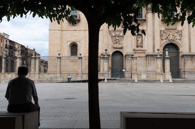 Façade de la cathédrale de Jaen avec ses tours Andalousie Espagne