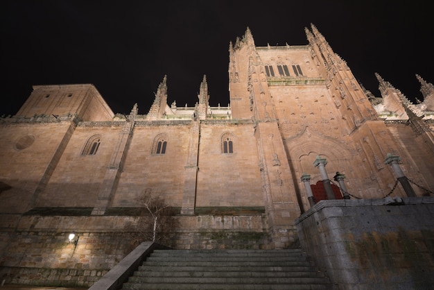 Façade de la cathédrale de Salamanque pendant la nuit.