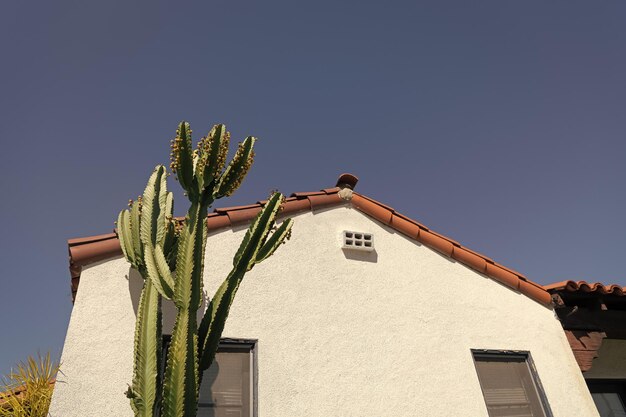 Façade latérale de maison avec toit et cactus sur fond de ciel bleu maison