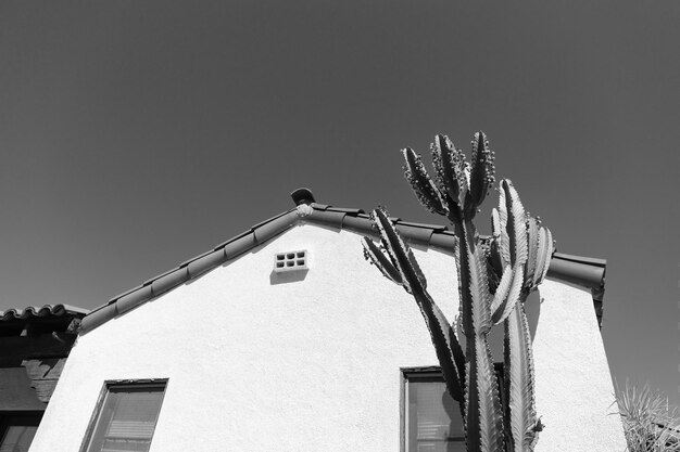 Façade latérale de maison avec toit et cactus sur fond de ciel bleu maison