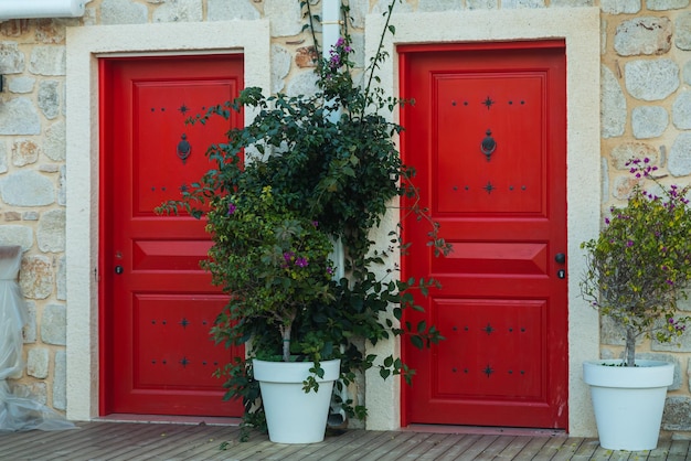 Façade de maison traditionnelle grecque en pierre avec portes rouges Gros plan d'un dors bleu en bois et fleur dans un bâtiment en pierre blanche