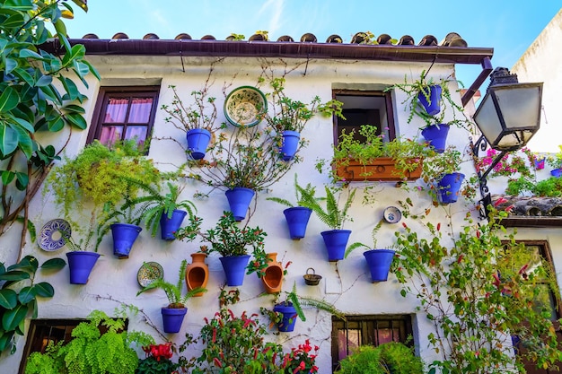 Façade typiquement andalouse avec des pots de fleurs et des plantes à CÃ³rdoba en Espagne.