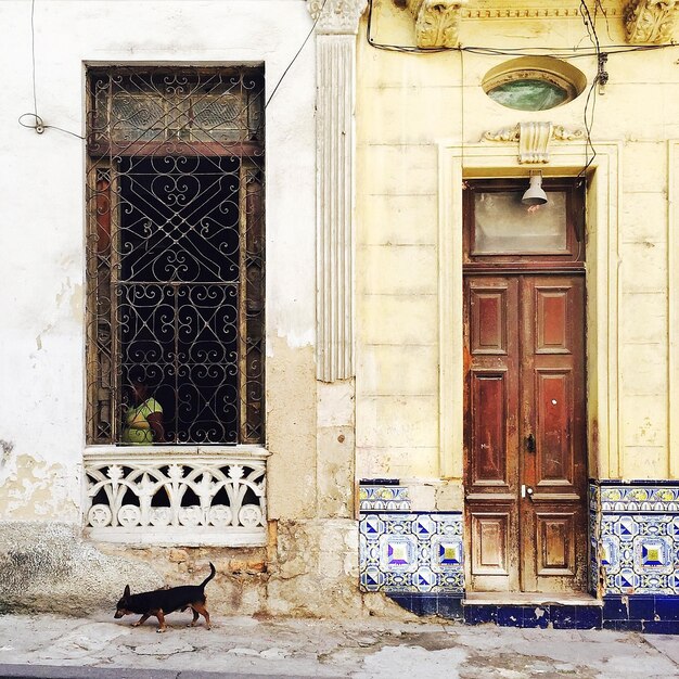 Photo façade d'une vieille maison