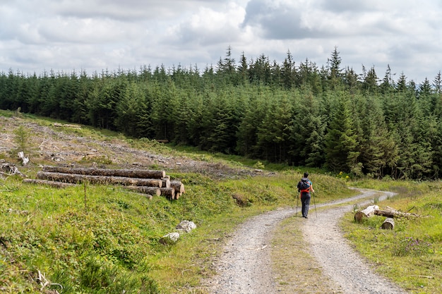 Façon Wicklow avec une fille dans la patte.