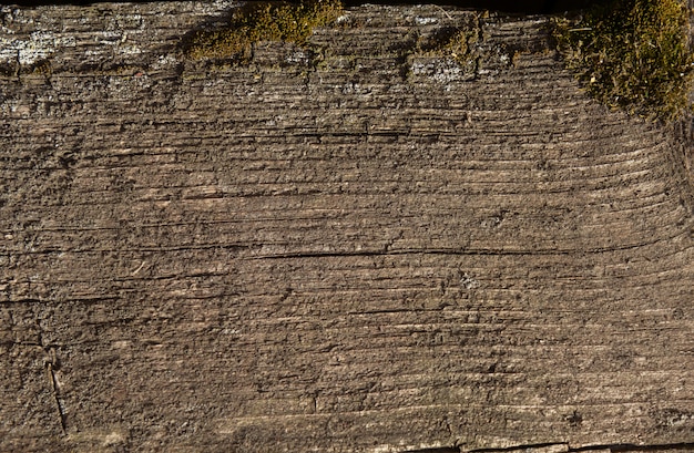 Photo la facture d'une vieille planche de bois avec de la mousse.