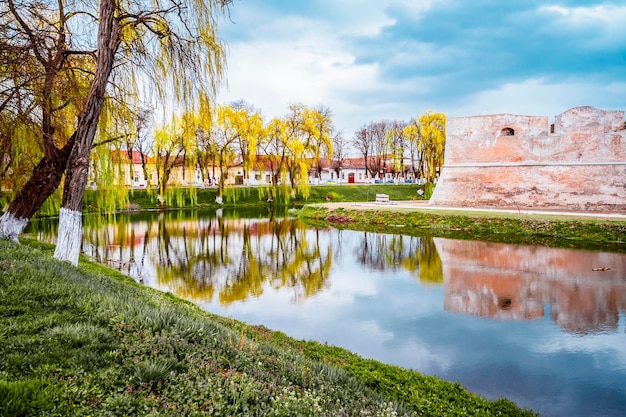 Fagaras Roumanie Paysage de fleurs vertes de printemps avec la forteresse de Fagaras Transylvanie