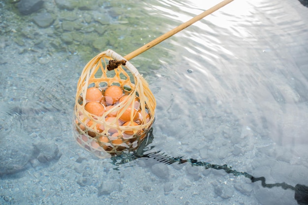 Faire bouillir l'œuf dans la piscine minérale et l'eau chaude naturelle