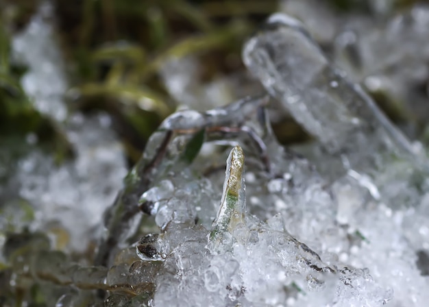 Faire fondre la neige et la glace sur l'herbe en journée d'hiver ensoleillée