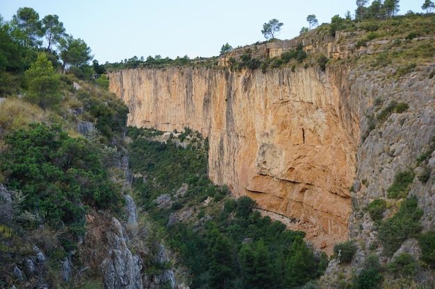 Une falaise avec des arbres dessus