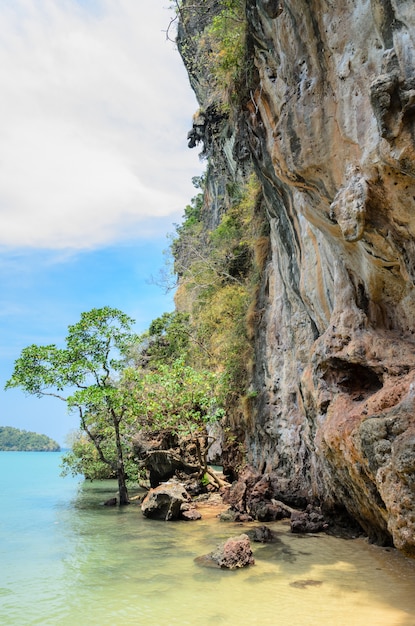 Falaise de montagne calcaire sur la plage de Railay dans la province de Krabi, Thaïlande