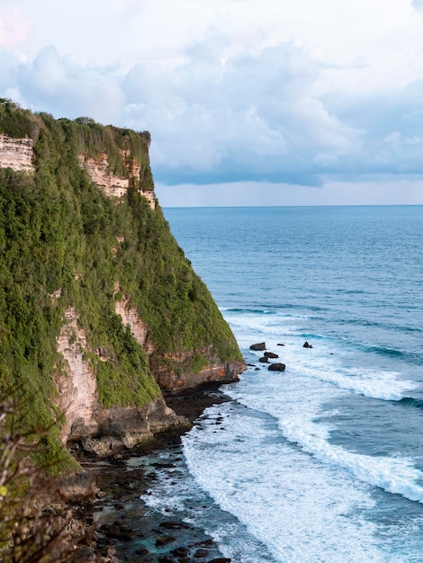 Une falaise avec l'océan en arrière-plan