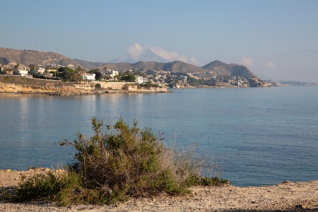 Falaise et plante près de la plage d'Almadrava El Campello Alicante Espagne