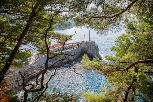 Photo falaise rocheuse fortifiée près de la ville de petrovac au monténégro à travers des branches de pins dans la mer adriatique