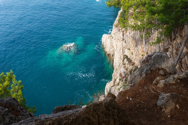 La falaise rocheuse a posé la pierre et le pin au-dessus de la mer turquoise