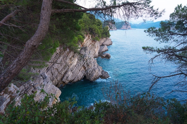 La falaise rocheuse a posé la pierre et le pin au-dessus de la mer turquoise