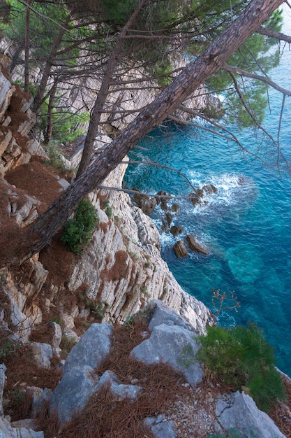 La falaise rocheuse a posé la pierre et le pin au-dessus de la mer turquoise