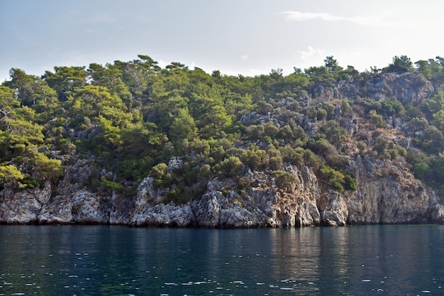 Falaises et arbres au bord de la mer