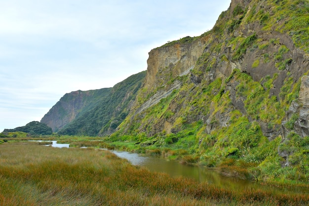 Falaises de la baie de Cowan dans la réserve panoramique de Whatipu