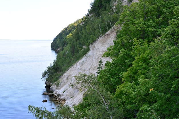 falaises couvertes d'arbres verts près de l'eau bleue de la mer