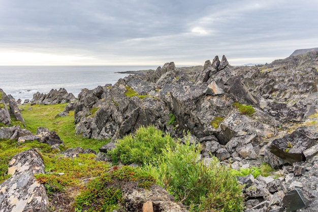 Falaises rocheuses sur la côte de la mer de Barents, parc national de varangerhalvoya, finnmark, norvège