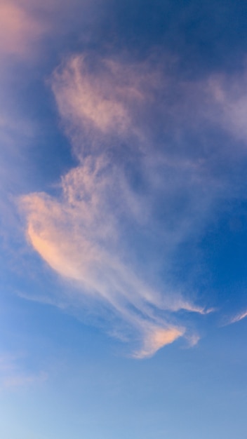 Photo falcon cloud