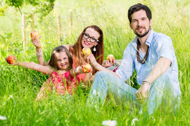 Famille Ayant Pique-nique Sur Le Pré Avec Des Fruits Sains