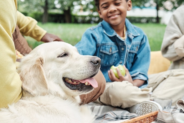 Famille avec chien en pique-nique