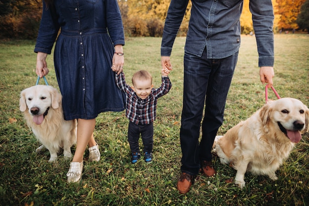 Famille avec un enfant et deux golden retrievers dans un parc en automne