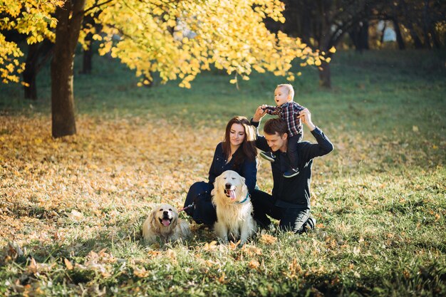 Famille avec un enfant et deux golden retrievers dans un parc en automne