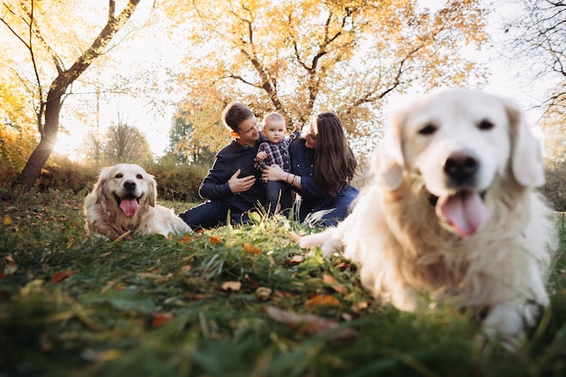 Famille avec un enfant et deux golden retrievers dans un parc en automne