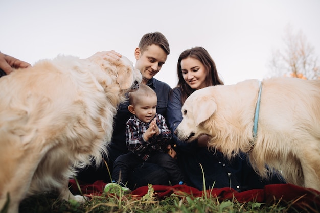 Photo famille avec un enfant et deux golden retrievers dans un parc en automne