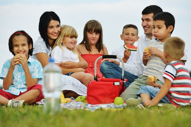 Famille avec enfants ayant un temps de pique-nique sur le pré vert dans la nature