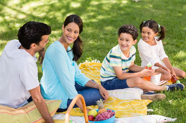 Famille heureuse, apprécier, ensemble, dans parc