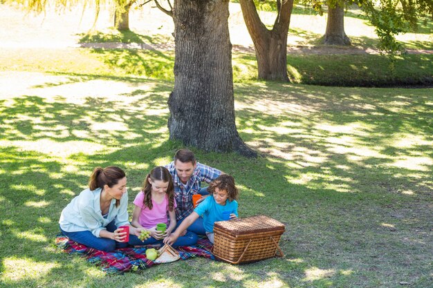 Famille heureuse sur un pique-nique dans le parc