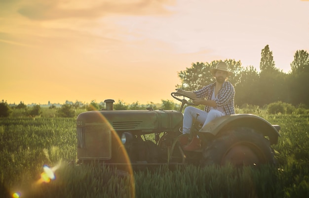 Famille heureuse représentée dans une scène de la vie quotidienne dans le champ de la campagne au coucher du soleil