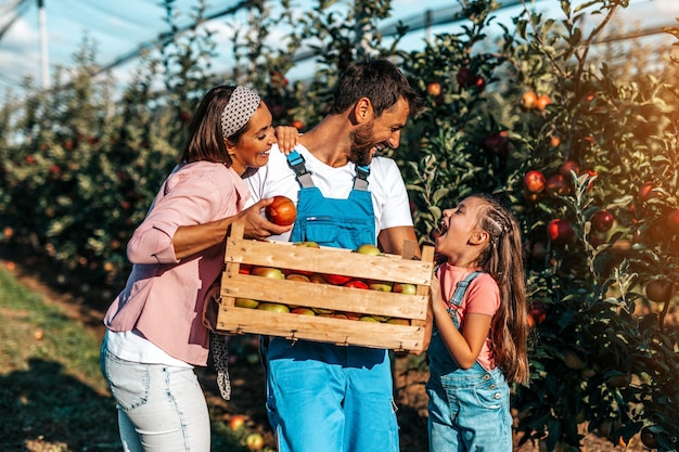 Famille heureuse s'amusant ensemble tout en cueillant des pommes dans le verger.