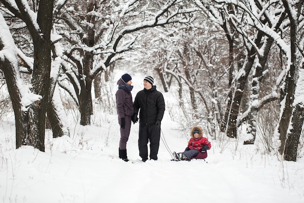 Famille, marche, neigeux, bois