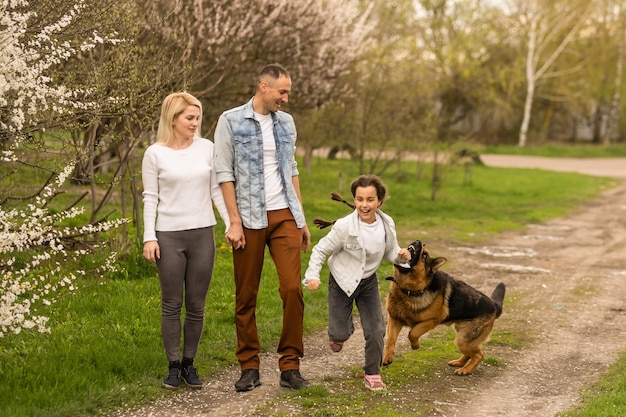 Famille avec petite fille et chien marchant à l'extérieur dans un verger au printemps