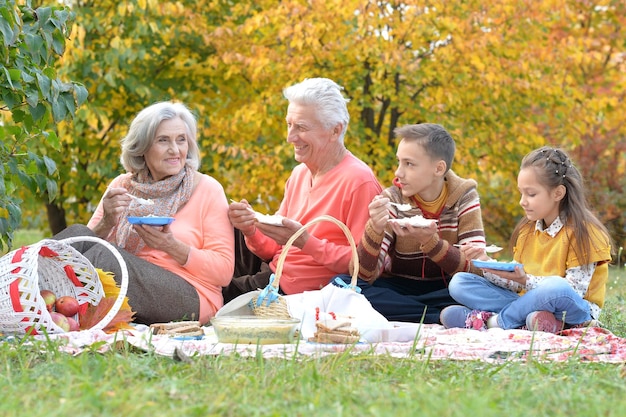 Une famille en pique-nique dans le parc.